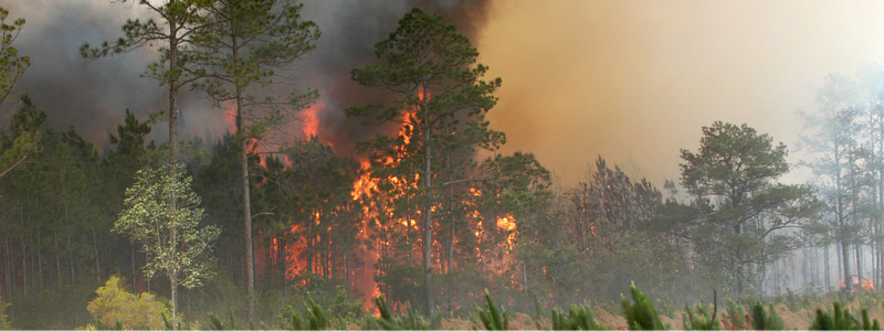 Fire Weather - RAWS