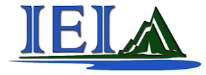 IEI Logo